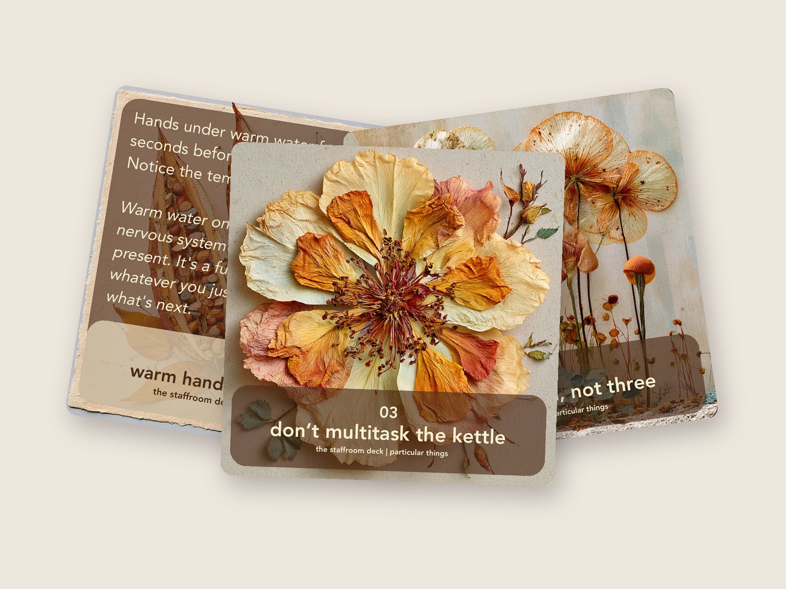 Three cards from The Staffroom deck, pressed-botanical artwork: don't multitask the kettle, warm hands slow water, and one intention not three